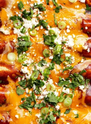 Plate of homemade black bean enchiladas topped with cheese and salsa