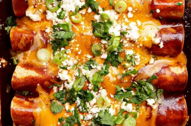 Plate of homemade black bean enchiladas topped with cheese and salsa